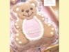teddy 1 jpg